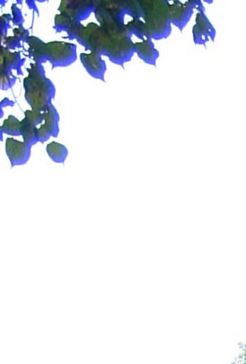 хроматические аберрации