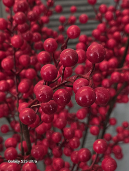 Только что представленный Samsung Galaxy S26 Ultra сравнили по камере с iPhone 17 Pro Max, Galaxy S25 Ultra и Vivo X300 Pro