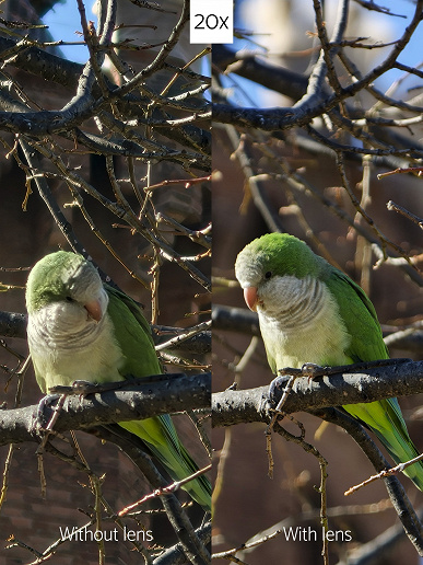 40-кратное приближение на камере смартфона без особых потерь. На фотографиях показали возможности Oppo Find X9 Pro с блоком Hasselblad Professional Teleconverter Kit