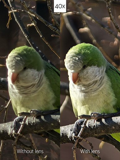 40-кратное приближение на камере смартфона без особых потерь. На фотографиях показали возможности Oppo Find X9 Pro с блоком Hasselblad Professional Teleconverter Kit