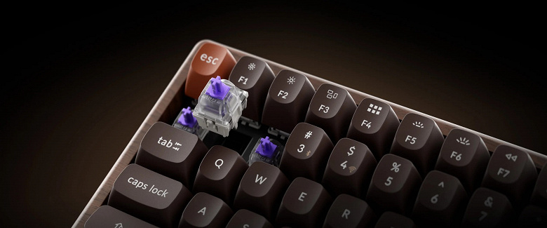 Ореховое дерево и магнитные свитчи Gateron Double-Rail при цене 200 долларов. Представлена клавиатура Keychron K2 HE Wireless All-Wood Special Edition