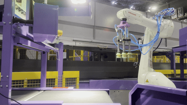 В Wildberries показали роборуку, которая сортирует посылки