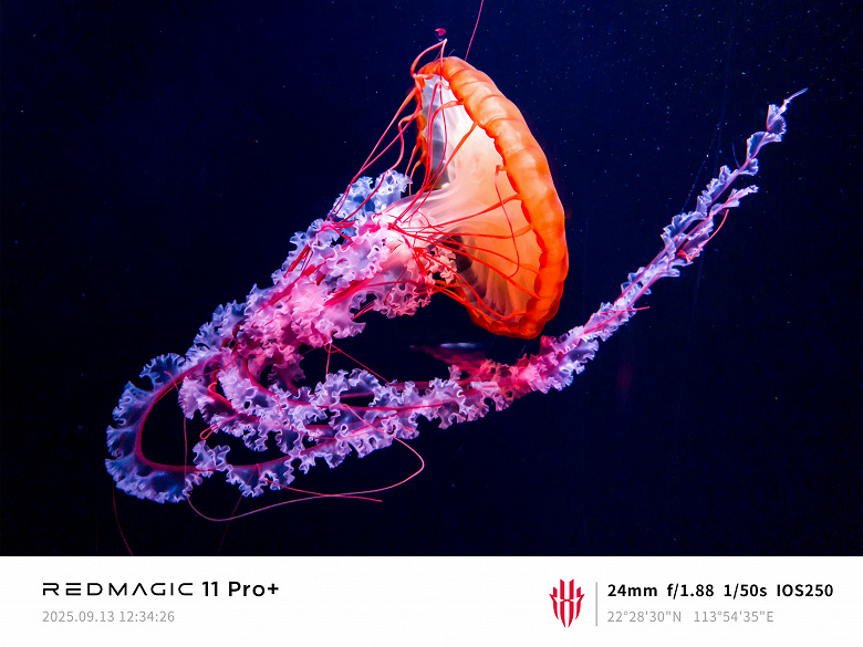 Первый в истории смартфон с гибридной системой воздушно-водяного охлаждения «способен делать потрясающие снимки». Появились эффектные фото с камеры RedMagic 11 Pro+