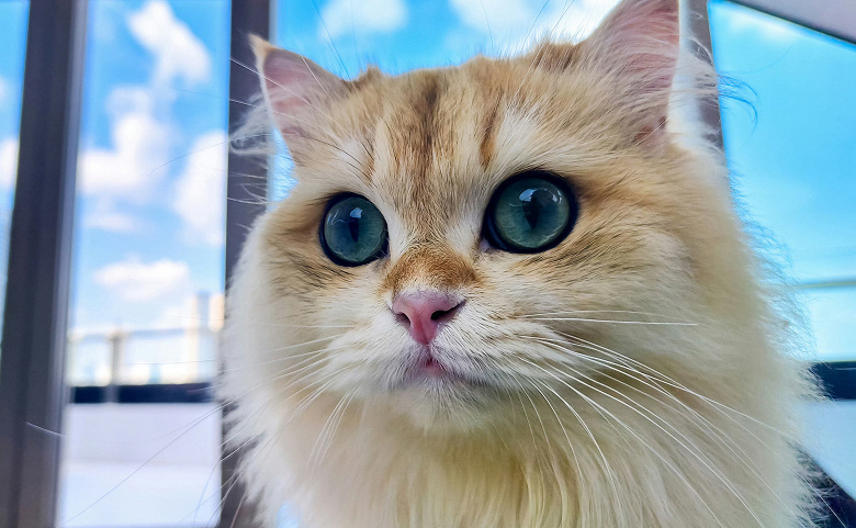 Первый в истории смартфон с гибридной системой воздушно-водяного охлаждения «способен делать потрясающие снимки». Появились эффектные фото с камеры RedMagic 11 Pro+