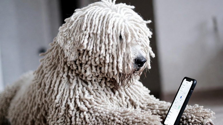 Записаться на стрижку за пару минут: в 2ГИС запускают ИИ-запись на услуги