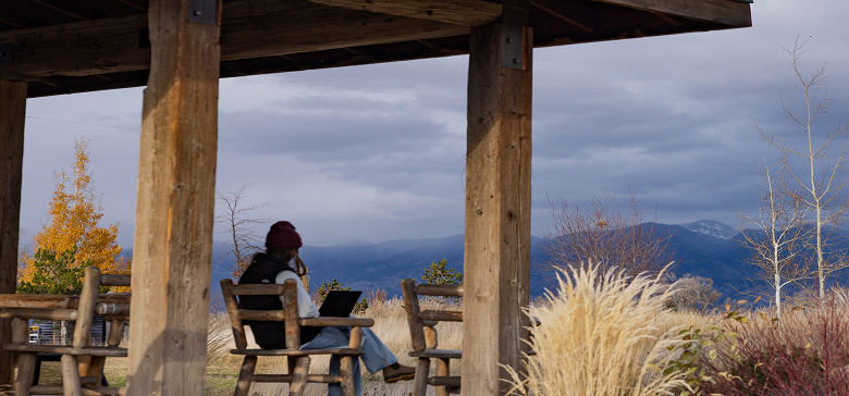 Veon: в 2026 году у Starlink на Украине будет 12 млн пользователей — это половина абонентов «Киевстара»