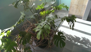 Обзор смартфона HTC One