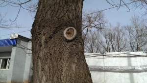 Обзор смартфона HTC One