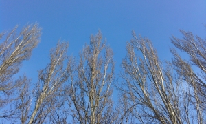 Обзор смартфона Huawei Ascend W1