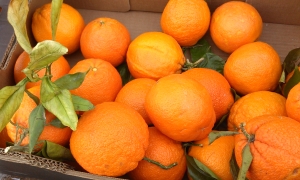 Обзор смартфона Huawei Ascend W1