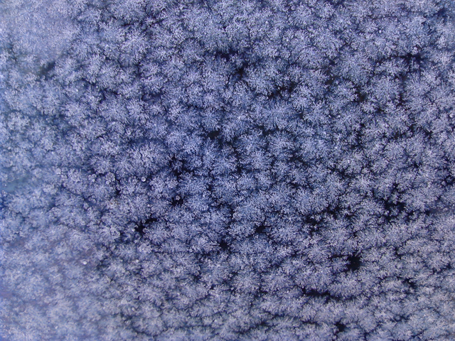 Обзор iconBIT Mercury X. Демонстрационный снимок