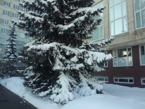 Обзор Meizu MX2