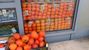 обзор смартфона Sony Xperia V