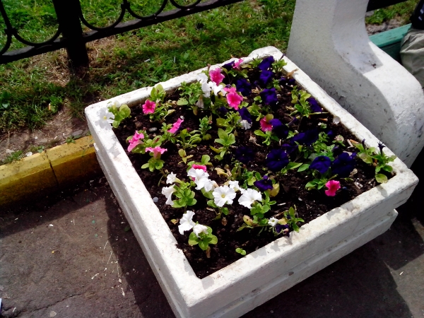 примеры снимков Zopo ZP100