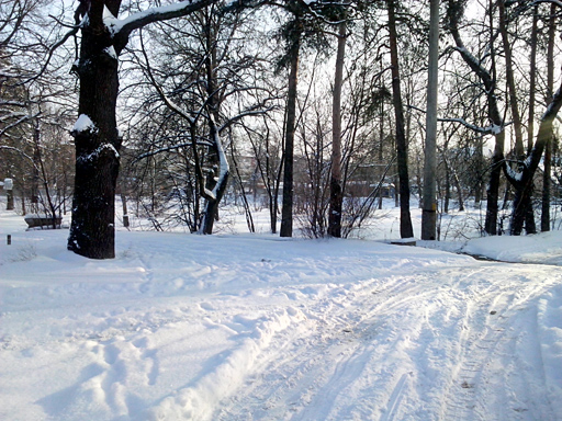 Обзор ZTE V889M. Демонстрационный снимок