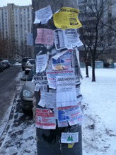 iPod Touch 4g, пример фото