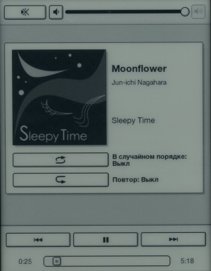 Электронная книга Sony Reader PRS-T1 - проигрыватель