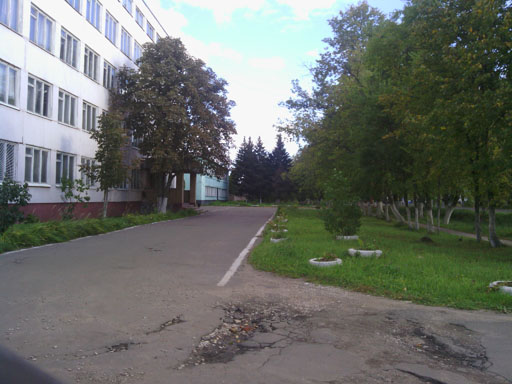 Обзор ZTE Blade+. Демонстрационный снимок