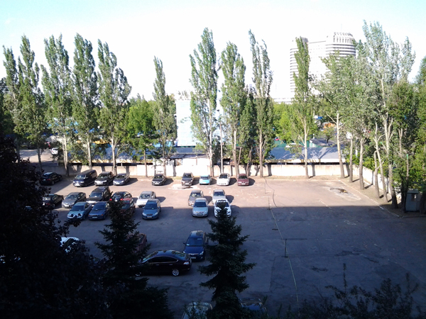 Фотография, сделанная на тыловую камеру планшета Samsung Galaxy Tab 8.9 LTE