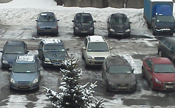 Фрагмент фотографии, сделанной на тыловую камеру планшета Sony Tablet P