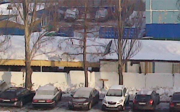 Снимок на тыловую камеру планшета Toshiba Excite 7.7